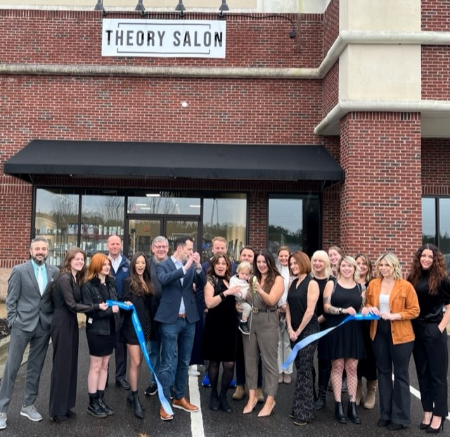 Theory Salon